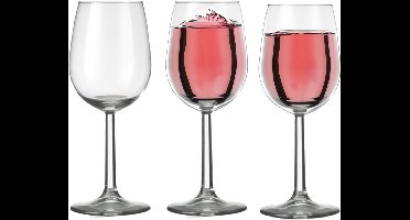 Set van 12x stuks wijnglazen voor witte wijn 290 ml Bouquet - 29 cl - Wijn drinken - Wijnglazen van glas