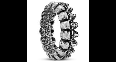 Aspero | 8 mm Zilverkleurige Roestvrijstalen Schedelring