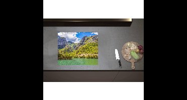 Inductieplaat Beschermer - Bos met Bomen op Rotsen aan het Water - 60x50 cm - 2 mm Dik - Inductie Beschermer - Bescherming Inductiekookplaat - Kookplaat Beschermer van Zwart Vinyl