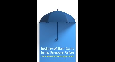 Comparative Political Economy- Resilient Welfare States in the European Union