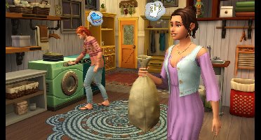 De Sims 4 - Wasgoed Accessoires