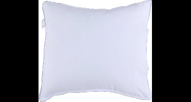 Alpina hoofdkussen 60x70cm