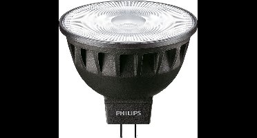 Philips Master LED-lamp - 35843000 - E39YD