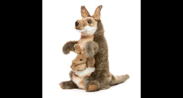 Kangoeroe Handpop, Hansa