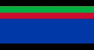 Vlaggenclub Vlag Appingedam - Gastenvlag 30x45cm - Voor buiten in weer en wind