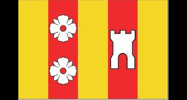 Vlaggetje Rozenburg 20x30cm