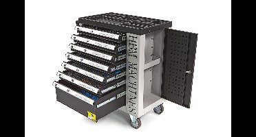 262 Delige Gevulde Gereedschapswagen met 7 Laden en deur met FOAM Inlays