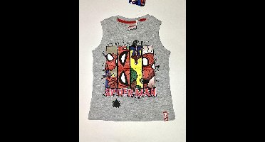 Spider-Man Jongens shirt Maat 116