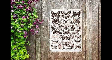Tuin decoratie Vlinder - Dieren - Zwart - Wit - 30x40 cm - Tuindoek