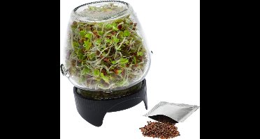 kiempot -Zaden Spruiten - Kiemglas - Kiempot set - Superfood - Groente kiemen