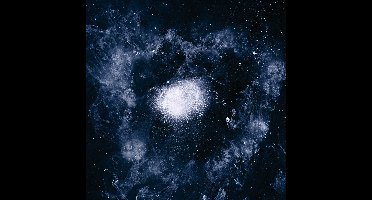 Swans - My Father Will Guide Me Up A Rope To The Sky (LP)