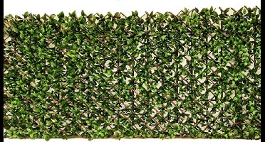 Buitengewoon de boet - Willow Fence uitvouwbaar 100x200 cm