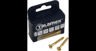 Talamex Houtschroef lenskop met zaagsnede DIN 95