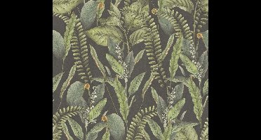 PLANTEN EN STRUIKEN BEHANG | Floraal - Zwart Groen Oranje - Living Walls Drawn Into Nature