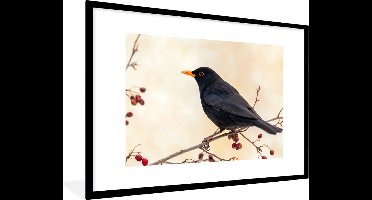 PosterMonkey - Poster - Fotolijst - Merel - Vogel - Takken - Bes - 90x60 cm - Poster natuur - Foto lijst - Poster frame - Poster vogels