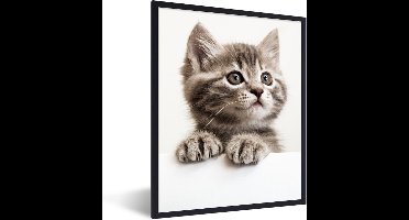 PosterMonkey - Poster - Kat - Grijs - Poes - Kitten - Dieren - Fotolijst - Frame - 30x40 cm - Poster frame - Foto in lijst - Poster kat - Muurdecoratie - Poster lijst