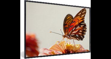 PosterMonkey - Poster in lijst - Fotolijst - Vlinder - Insect - Bloemen - Natuur - Poster - Kader - 30x20 cm - Poster frame - Poster dieren - Foto in lijst - Wanddecoratie