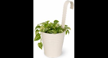 Progarden Bloempotje met haak - plantenbak zink met ophanghaak - wit - 20 x 13 x 26 cm - ophangbaar - Balkon/schutting plantenpot