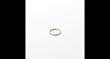 Dulimex 1602-20N Sleutelring diameter 20mm uitwendig vernikkeld 9.11016022