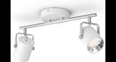 Philips BYRE bar/tube white 2x4.3W 24V