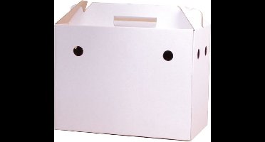 Wielink Transportdoosje 28X15X27CM