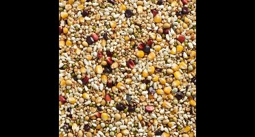 Natural Finesse Sport - Weduwnaars & Duivinnen