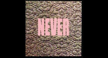 Micachu & The Shapes - Never (CD)