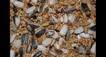 Hadivo Grote parkieten / agaporniden zaad 20KG