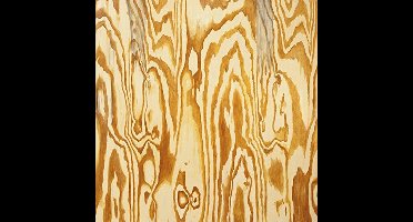 Mazes - Wooden Aquarium (LP)