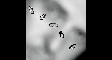 Peter Gabriel - Up (2 LP)