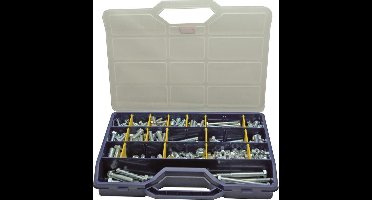 Ivana Assortiment Koffer Tap/Zeskantbouten/Moeren Verzinkt 20-Vaks