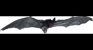 Vleermuis Light Eyes Zwart 77x30xh7cm Kunststof Incl 3 Lr44 Batt