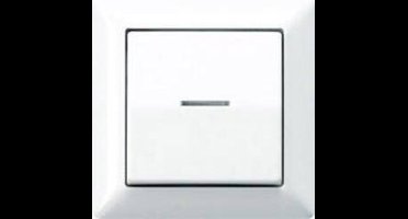 Jung AS500 Schakelelement/Centrale Plaat - AS590KO5WW - E32QT