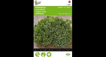 Buzzy® Boerenkool Westlandse Herfst