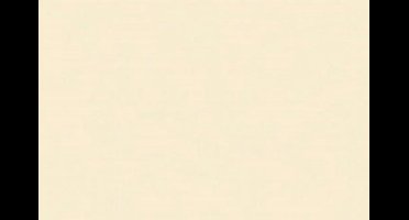 Folia Fotokarton beige 50X70-300G