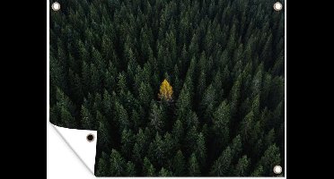 Tuin decoratie Bos - Den - Bomen - Herfst - Italië - 40x30 cm - Tuindoek