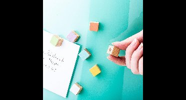 Trendform Houten Blokjes Magneten