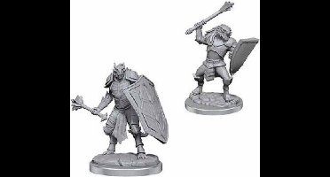 D&D Nolzur's Marvelous Miniatures Dragonborn Clerics