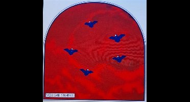 You Said Strange - Mourning Colors (7" Single)