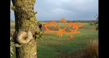 Geluksvogel Kuiken drietal/ Chicks, Roest Metaal, 1343, 336x137x2mm