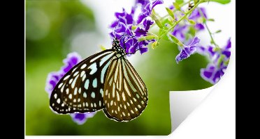 Muurstickers - Sticker Folie - Lavendel - Vlinder - Botanisch - 30x20 cm - Plakfolie - Muurstickers Kinderkamer - Zelfklevend Behang - Zelfklevend behangpapier - Stickerfolie