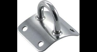 Mastplaat gewalst 60 - 70 mm verticaal RVS-316