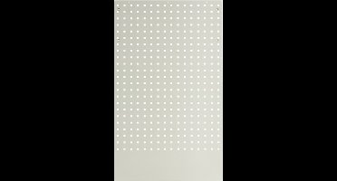 HBM Gereedschapsbord 105 x 61 cm. voor Werkplaatsinrichting