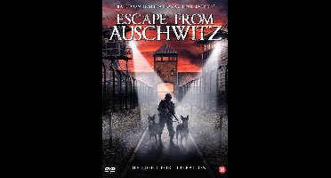 Escape From Auschwitz (DVD)