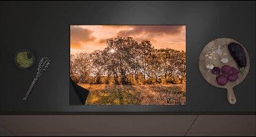 Inductieplaat Beschermer - Prachtige Zonsopkomst die schijnt door Herfstkleurige Bomen - 70x52 cm - 2 mm Dik - Inductie Beschermer met zwarte kern