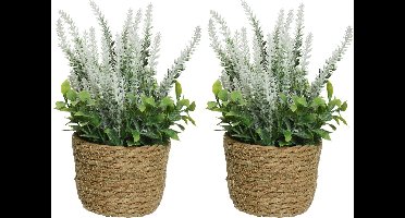 Everlands Lavendel kunstplant in plantenmand - 2x - wit - D12 x H26 cm