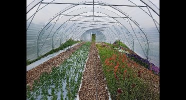 KWEEK - Complete wandelkap 500 cm breed en 1000 cm lang