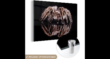 MuchoWow® Glasschilderij 180x120 cm - Schilderij acrylglas - Studio shot van een tarantula - Foto op glas - Schilderijen
