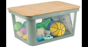 Rotho PINA Opbergbox met Deksel 45L Sage Green/Bamboe/Transparant