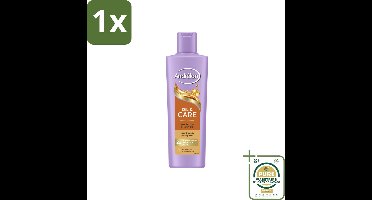 1 x Andrélon – Shampoo – Oil & Care – 250 ml- Droog Haar - Pluis - Haar Verzorging - Arganolie - Sheaboter
